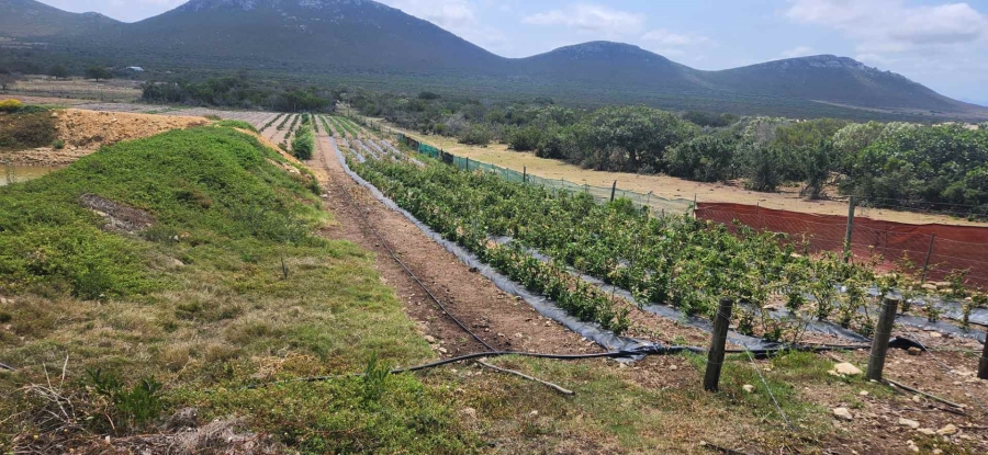 4 Bedroom Property for Sale in Gouritsmond Rural Western Cape